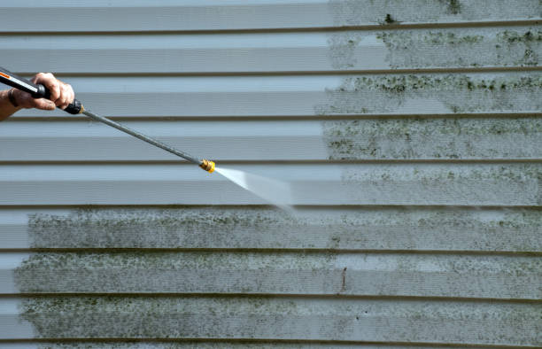 Best House Exterior Washing  in Earlington, KY